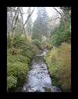 Bodnant Garden 05